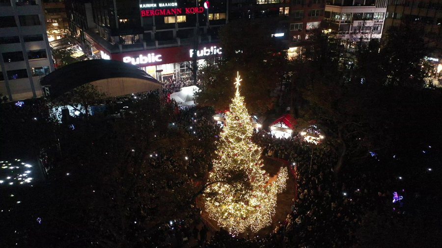 251203 larissa anamma dendrou 1