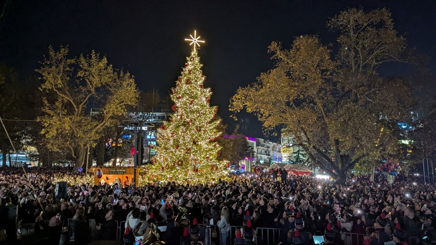 251203 larissa anamma dendrou 1