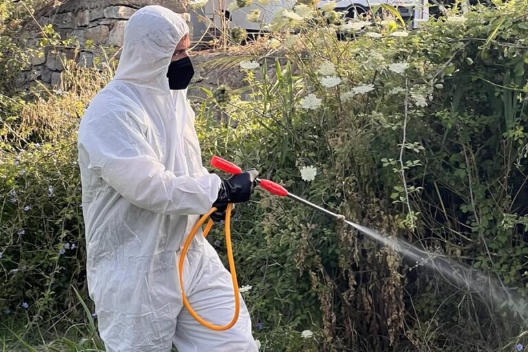 Ψεκασμός για την καταπολέμηση των κουνουπιών.
