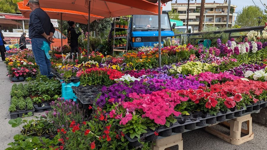 250721 laikes photo archeiou