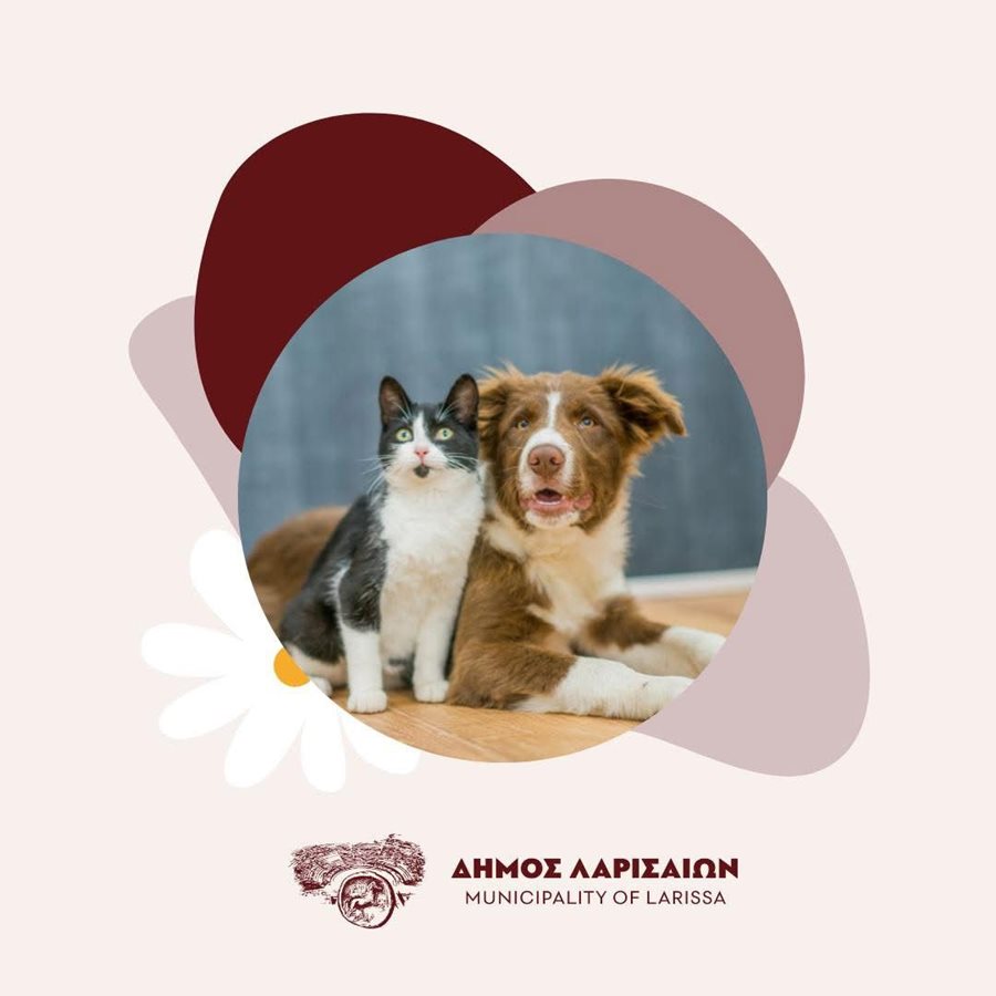 251003 adespota drasi