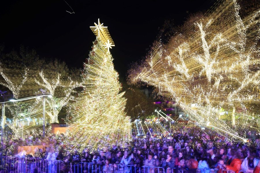 251203 larissa anamma dendrou 1