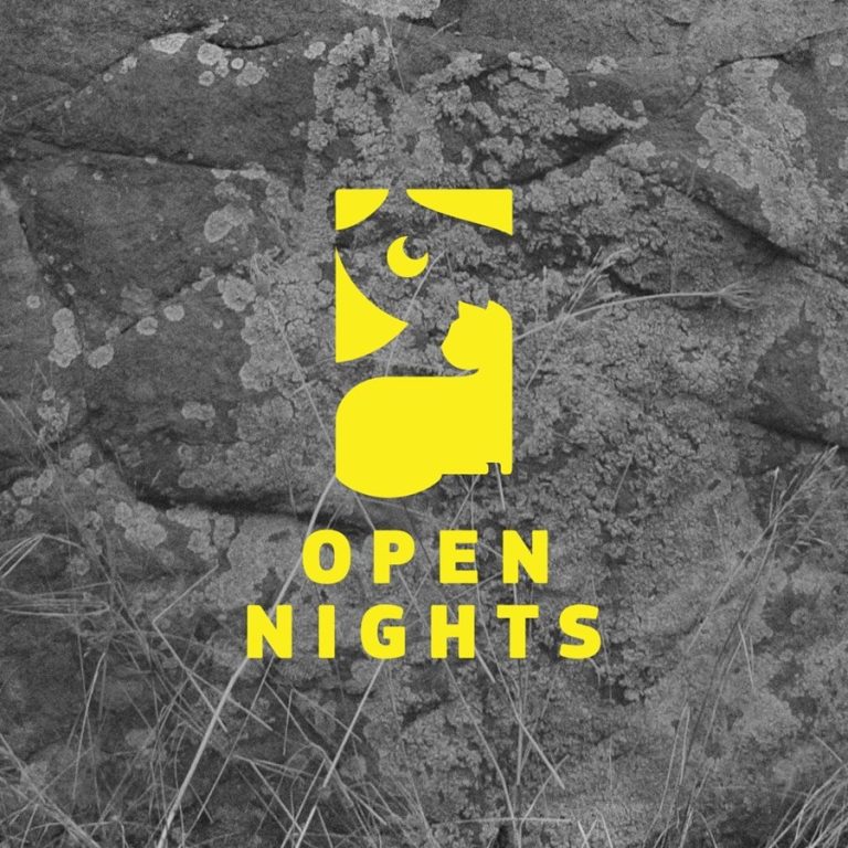 Φεστιβάλ Open Nights - logo