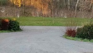 Πρόσβαση στην εσωτερική κοίτη του Πηνειού με καθαρό μονοπάτι και φυσικό τοπίο.