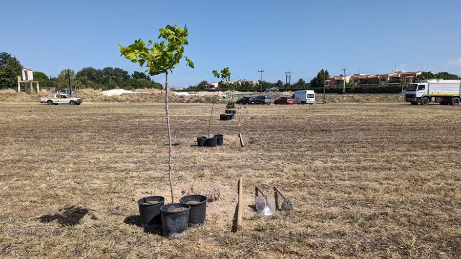 Νέα δενδροφύτευση στον χώρο του γηπέδου Φαλάνης για περιβαλλοντική αναβάθμιση.