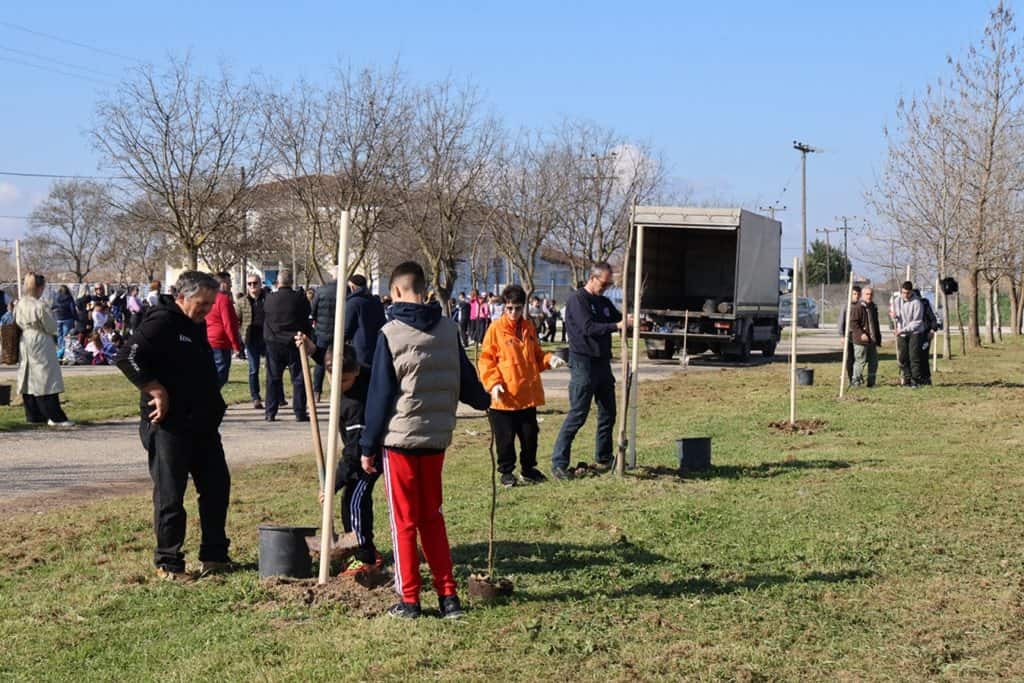 Ανθρώποι φυτεύουν νέα δέντρα στον περιβάλλοντα χώρο του γηπέδου Φαλάνης, συμβάλλοντας στην αναβάθμισ.