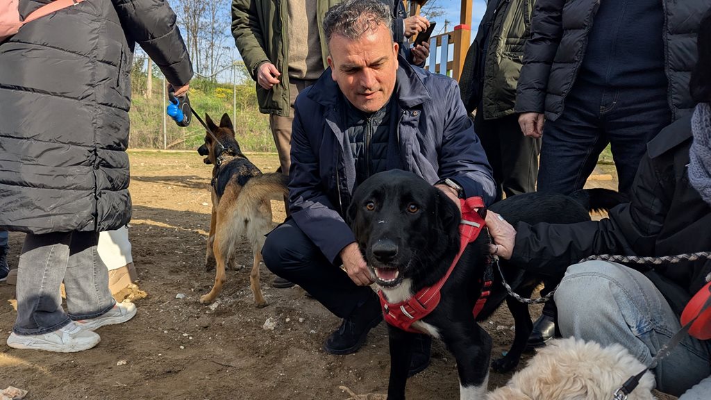Διαχείριση αδέσποτων ζώων συντροφιάς. Ο Δήμαρχος με σκύλο.