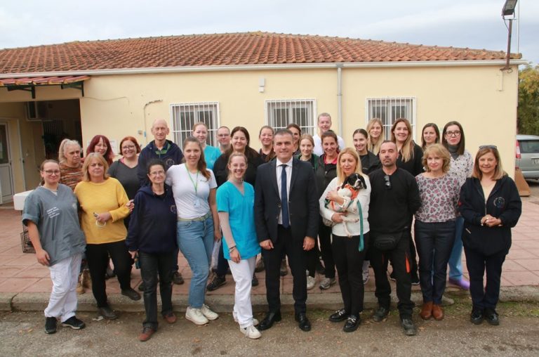 Διαχείριση αδέσποτων ζώων συντροφιάς. Δημοτικό καταφύγιο με πλήθος κόσμου.