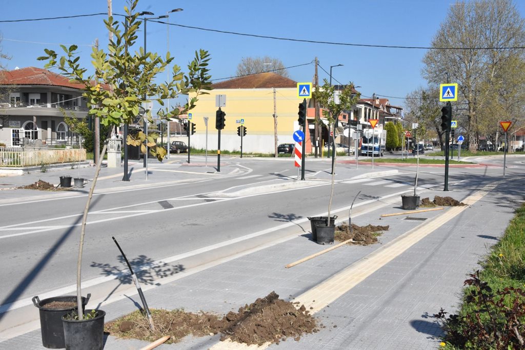 Στιγμιότυπο από την δενδροφύτευση στην Φαλάνη