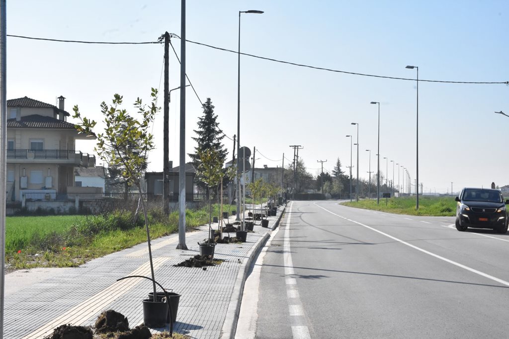 Στιγμιότυπο από την δενδροφύτευση στην Φαλάνη
