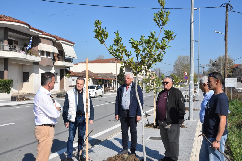 Στιγμιότυπο από την δενδροφύτευση στην Φαλάνη