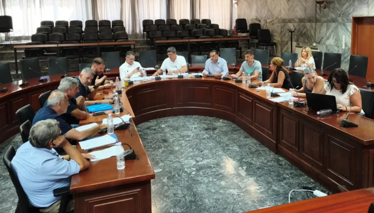 Στιγμιότυπο της συνεδρίασης της Δημοτικής Επιτροπής για το πράσινο