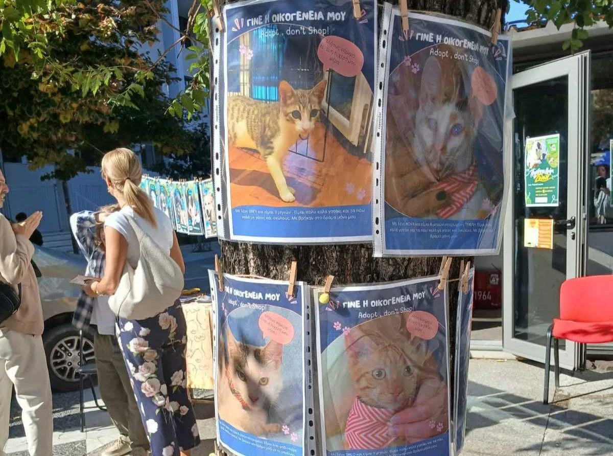 Στιγμιότυπο από την δράση ευαισθητοποίησης στην Κεντρική Πλατεία με αφορμή την Παγκόσμια Ημέρα Ζώων.